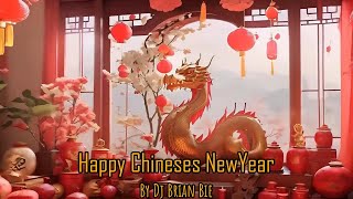 Nonstop Gong Xi Fa Chai Electro Manyao By Dj Brian Bie dj抖音版2024 remixmanyao [upl. by Shaff134]