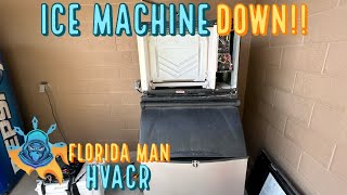 ICE MACHINE WONT HARVEST REPAIR [upl. by Edythe167]