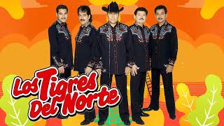 VIEJITAS PERO BONITAS DE LOS TIGRES DEL NORTE [upl. by Layap]