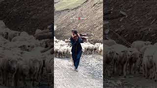 Othay amlan dy hony ny nabairy  Nusrat Fateh Ali Khanyoutubeshortsviralvideo kashmirtourismtrav [upl. by Colburn]