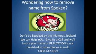 How To Remove Your Name From Spokeo [upl. by Arlen]