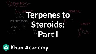 From terpenes to steroids part 1 Terpenes  Endocrine system physiology  NCLEXRN  Khan Academy [upl. by Redwine]