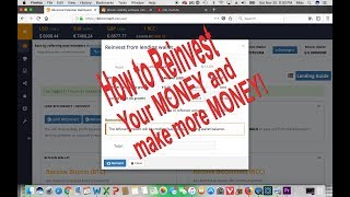 BITCONNECT How to Reinvest Your Money [upl. by Ahsiekel]