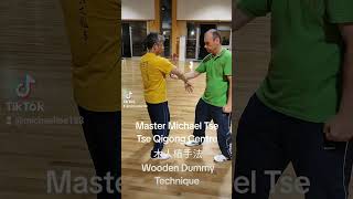 木人樁手法 Wooden Dummy Technique 功夫 kungfu martialarts 詠春拳 wingchun ipman ipchun 葉問 葉準 chisau [upl. by Annaerdna]