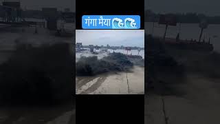 Floods Haridwar viralshort haridwar flood ganga gangariver [upl. by Chadabe]