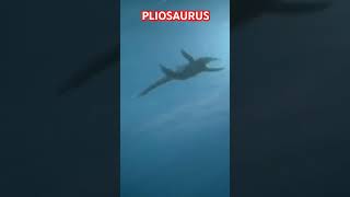 Pliosaurus [upl. by Ahsaei135]