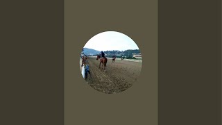 🏇OBSERVACION Y AJUSTE DE ULTIMA HORA DOMINGO 08092024 LA RINCONADA🏇 [upl. by Anialed365]