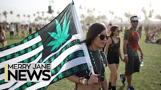 How to Get Away With Smoking Weed at Music Festivals  MERRY JANE News [upl. by Dorena533]