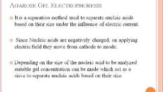 Nucleic Acid Quantification  DNA  RNA Quantification [upl. by Ellenar]