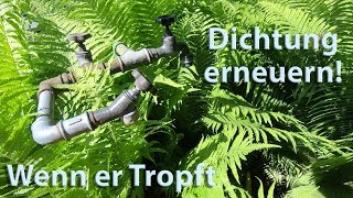 Tropfenden Wasserhahn zur Ruhe bringen Wasserhahn tropft Dichtung reparieren [upl. by Ahsemad328]