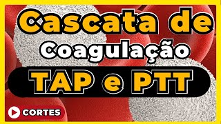 Cascata de coagulação Via intríseca e extrínseca EXAMES PTT e TAP [upl. by Eylrahc]