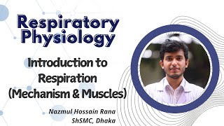 Introduction to Respiration  Mechanism amp Muscles  Respiratory Physiology  Explained in Bangla [upl. by Kauffmann760]