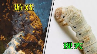 盘丝洞中的各种虫妖原型都是什么动物？【《黑神话：悟空》动物角色原型鉴定浅析04：盘丝岭篇】 [upl. by Airol]