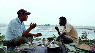 Beautiful Picnic Point Tondoo Tea Garden In Dooars  West Bengal India  userdvlogs225 [upl. by Yelwah]