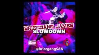 TI  Stand Up ft Lil Jon Trick Daddy Lil Wayne SLOWED N CHOPPED [upl. by Asirac705]