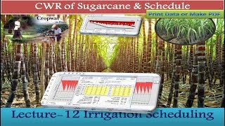 CropWAT 80 CWR of Sugarcane irrigation Scheduling amp Print 12 [upl. by Erek]