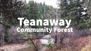 DiscoverDNR Teanaway [upl. by Llertnauq]