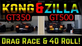 SHELBY GT500 vs GT350 Drag Race  Street Racing KONG vs ZILLA Dual Clutch Automatic vs Manual [upl. by Begga]