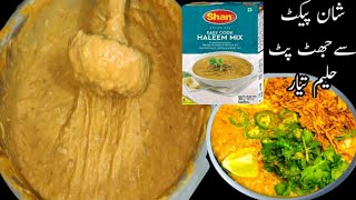 quick amp easy beef haleem  packet wali haleem  shan haleem recipe zareen fatima [upl. by Selda]