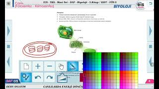 Mavi Set Biyoloji 3  Canlılarda Enerji Dönüşümleri Fotosentez  Kemosentez  2 🔬 [upl. by Che]