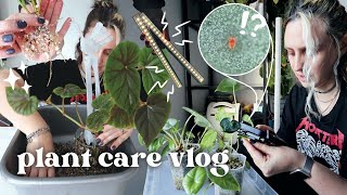 checking for pests setting up grow lights amp potting up props 🪴 Plant Chores Vlog [upl. by Geno]