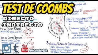 Test de Coombs prueba de antiglobulina [upl. by Ofella]