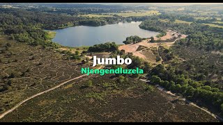 Jumbo – Njengendluzela Official Lyric Video [upl. by Macario]