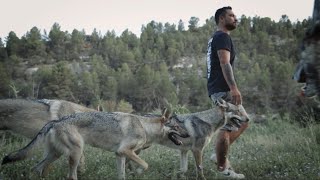 TRAILER Educación Canina  La Realidad del Ayer Conductismo y Etología 21042024 Seriedocumental [upl. by Etolas]