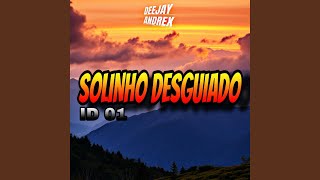 Solinho Desguiado ID 01 [upl. by Yanal859]