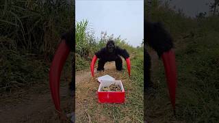 Gorillas Monster Confront Giant Snakes [upl. by Yddeg162]