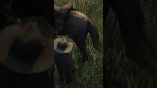 RDR2  How to clean a horse shorts rdr2 [upl. by Enegue]