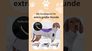 Eine Hundejacke in Übergröße [upl. by Uchida]