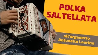 ðŸŽµðŸŽµ POLKA SALTELLATA ðŸŽµðŸŽµ eseguita allorganetto da Antonello Laurino [upl. by Hepzi]