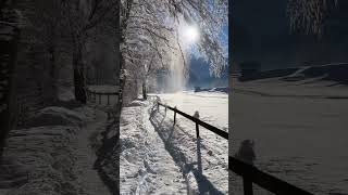 A Snowy Day in Lauterbrunnen [upl. by Hsac]