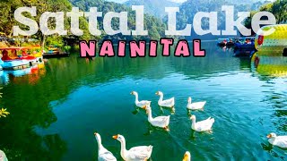 😱Most Beautiful Lake In Nainital Uttarakhand 🏞️  Sattal Lake Nainital  Sattal Lake  FRKinfo [upl. by Vanda698]