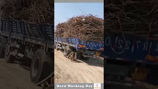 The Process Of Unloading Iron Rod From The Truck [upl. by Manwell]