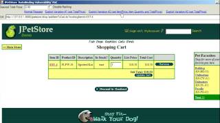 JpetStore  BlackBox Exploits [upl. by Stout432]