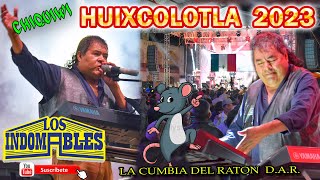 Los Indomables En Vivo  La Cumbia del Ratón DAR [upl. by Esirrehc106]