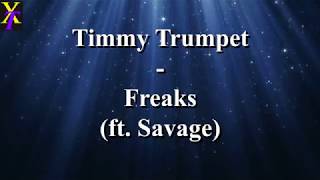 Timmy Trumpet  Freaks ft Savage Lyrics [upl. by Nerhtak]