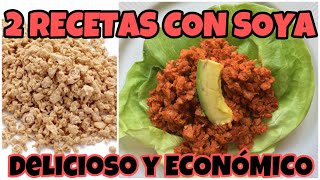 2 RECETAS CON SOYA  RÁPIDAS DELICIOSAS ECONÓMICAS  By Visan [upl. by Hulen]