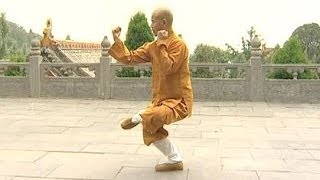 Shaolin Kung Fu Combat Styles 15 small Buddha form 小罗汉拳 xiao luohan quan [upl. by Bren]