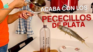 Pececillos de plata Cómo evitarlos en casa [upl. by Coke]