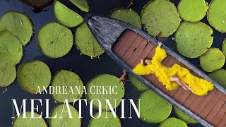 ANDREANA CEKIC  MELATONIN OFFICIAL VIDEO 2024 [upl. by Harriette]