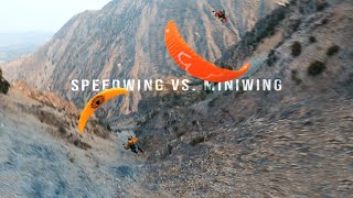 Speedwing VS Miniwing Flight [upl. by Bradski]