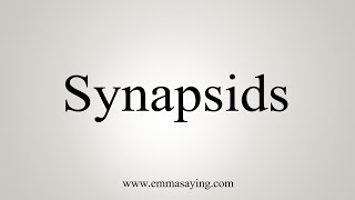 How To Say Synapsids [upl. by Tebazile450]