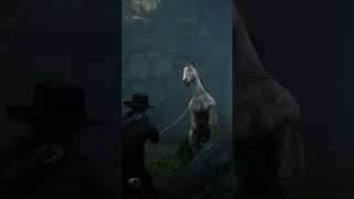 RDR2 LEGENDARY Hoses Location rdr2 shorts [upl. by Elfreda619]