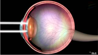 Structure and Working of Human Eye [upl. by Hilton]