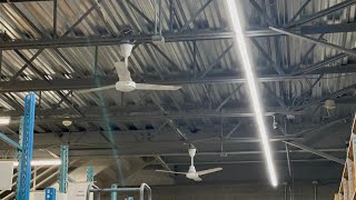 Ceiling Fans at Indiana Lighting Update [upl. by Deering]