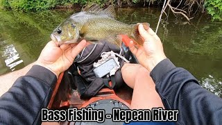 Bass Fishing in Kayak  Nepean River [upl. by Nessah]