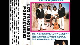 Los Tangueros Portugueses  Oh Sandra Sañoriña [upl. by Sylvia]